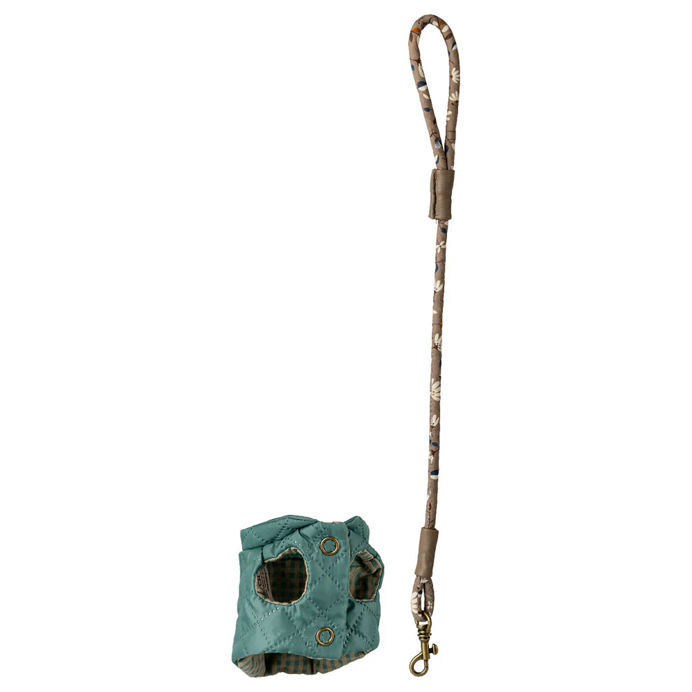 PRE ORDER Pet supply, Harness and leash - Dark mint